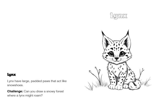 A to Z American Animals Coloring Book
