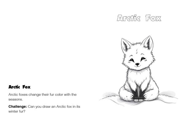 A to Z Arctic Animals Coloring Book