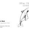 A to Z Arctic Animals Coloring Book