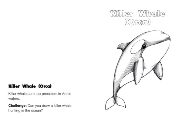 A to Z Arctic Animals Coloring Book