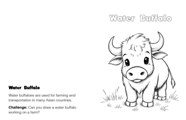 A to Z Asian Animals Coloring Book