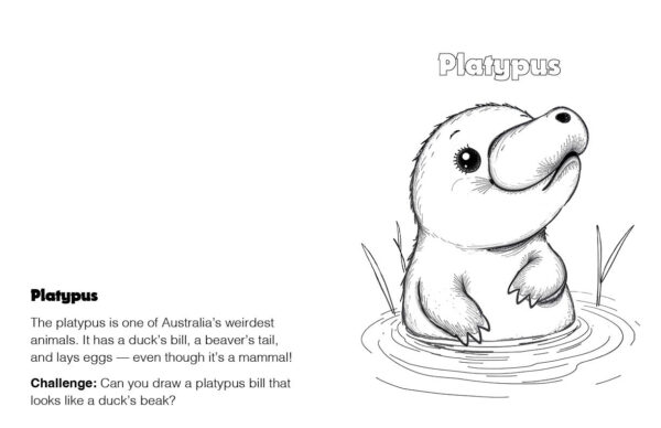 A to Z Australian Animals Coloring Book