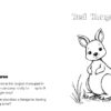 A to Z Australian Animals Coloring Book