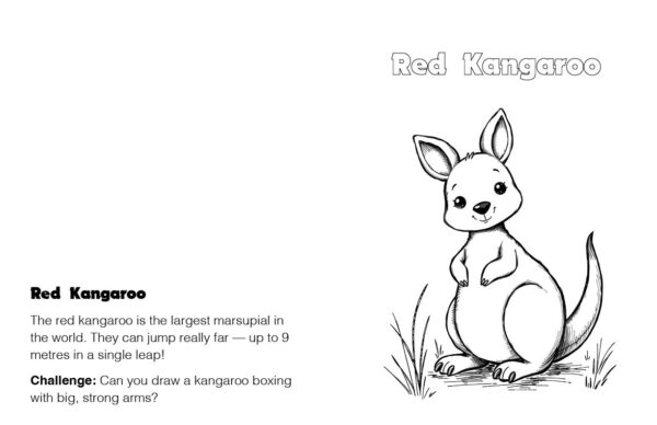 A to Z Australian Animals Coloring Book