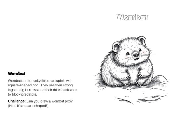 A to Z Australian Animals Coloring Book