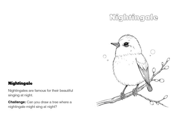 A to Z British Animals Coloring Book