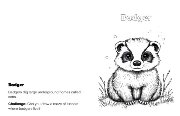 A to Z British Animals Coloring Book