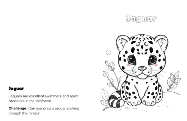A to Z Rainforest Animals Coloring Book
